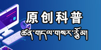 原创科普